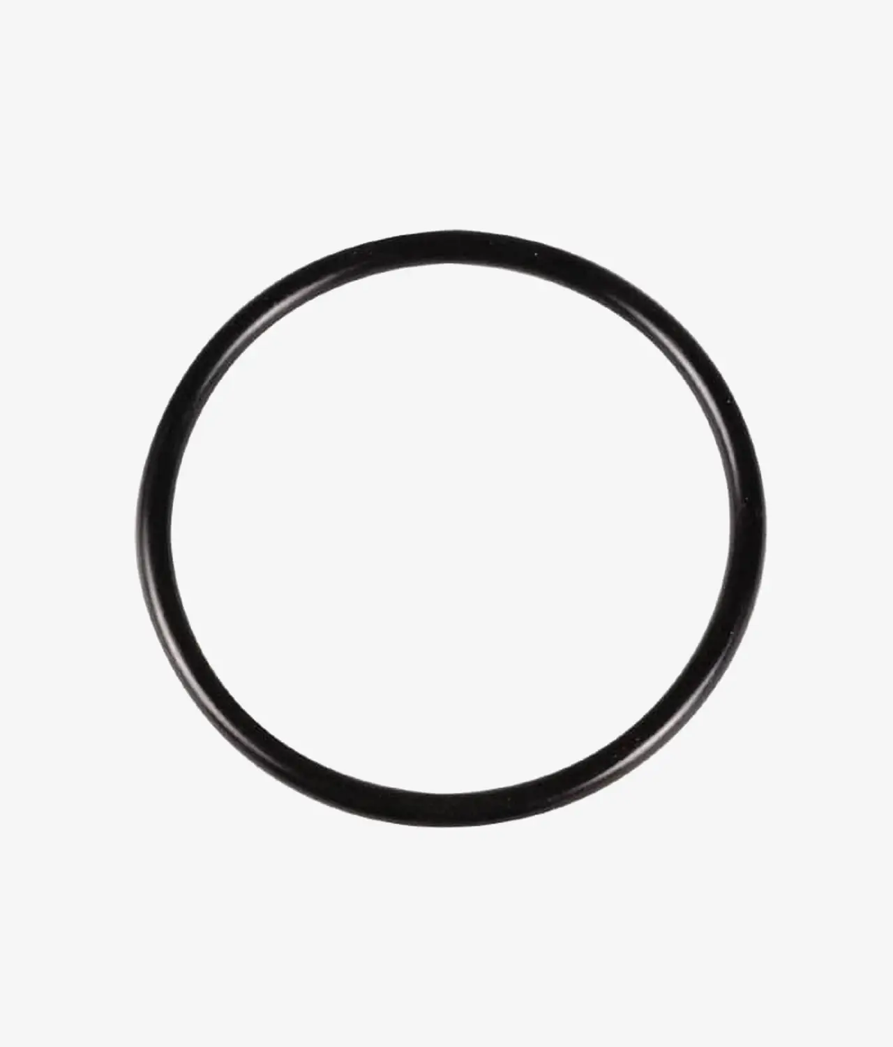 Crank Shaft Bearing O-Ring
